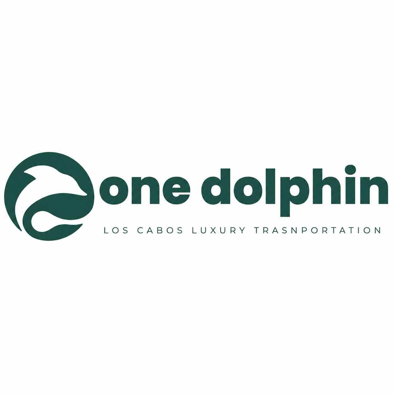 One Dolphin — Los Cabos Luxury Transportation